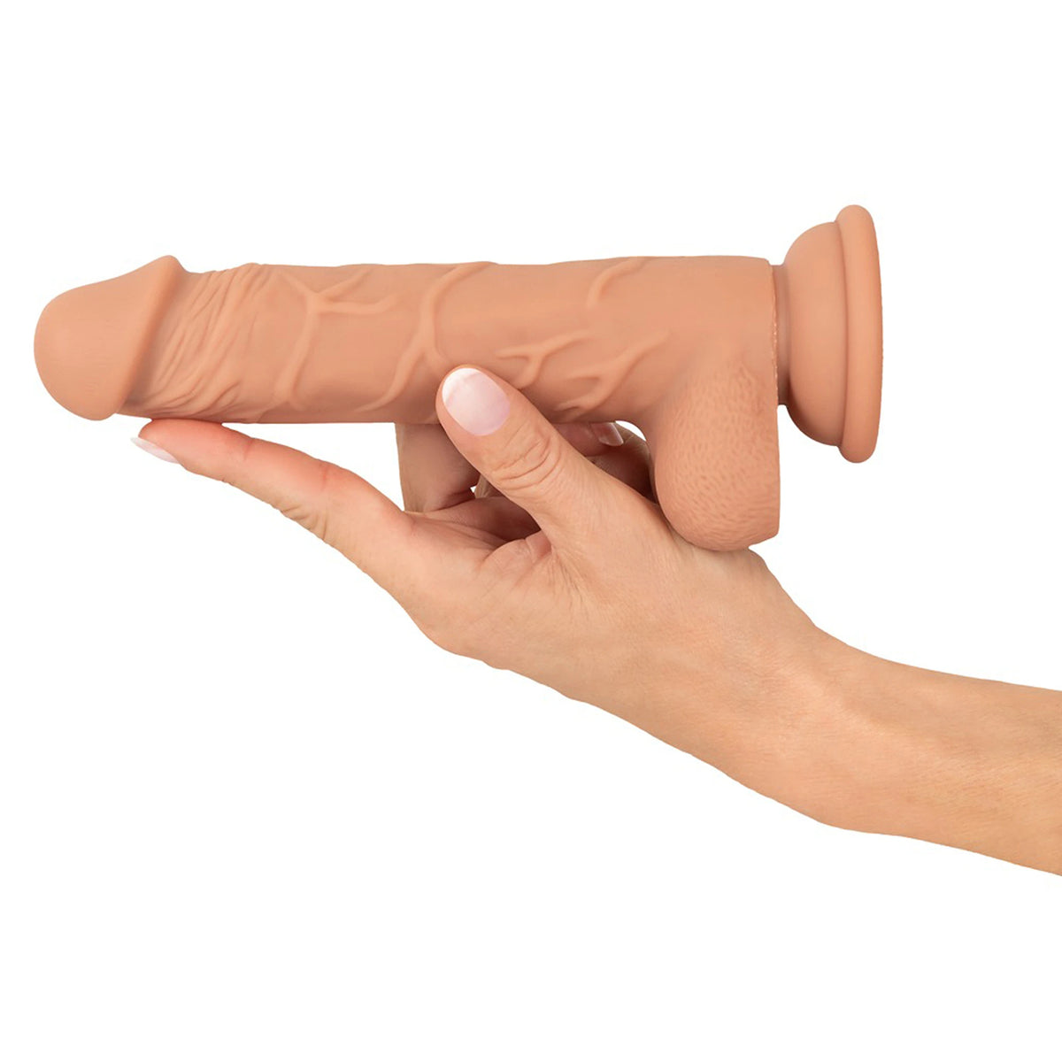 Banco de Posições com Dildo e Pegas